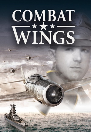 Combat Wings cover