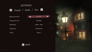 In-game visual settings