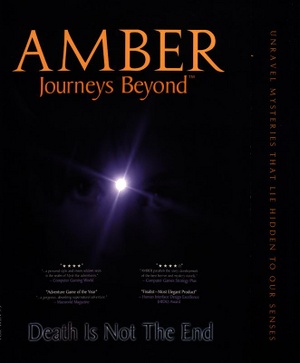 Amber: Journeys Beyond cover