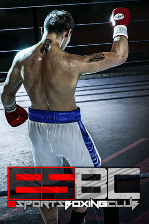 eSports Boxing Club cover