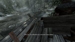Skyrim's physics become buggy at above 100 FPS