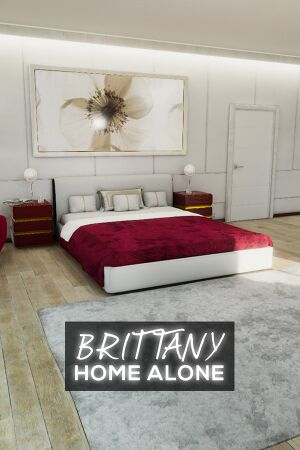 Brittany Home Alone cover