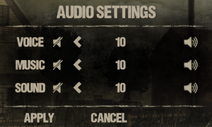 Audio settings