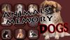 Animals Memory Dogs cover.jpg