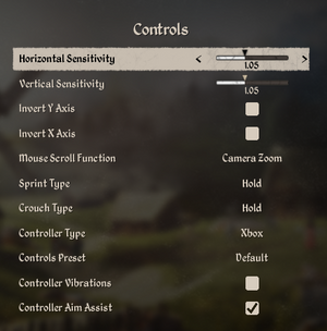 Controls settings