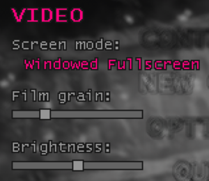 In-game video settings.