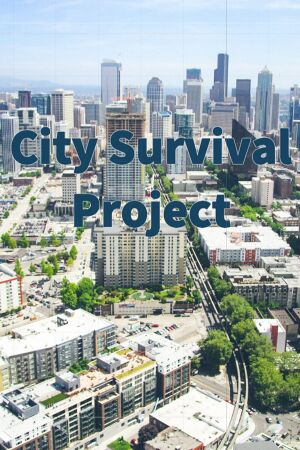 City Survival Project cover