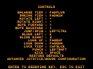 In-game keyboard key map settings.