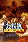 Double Dragon Advance cover.jpg
