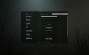In-game controls settings