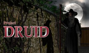 Project Druid - 2D Labyrinth Explorer- cover