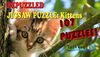 Bepuzzled Kittens Jigsaw Puzzle cover.jpg