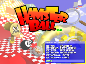 The remap control section for Hamsterball