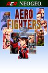 Aero Fighters 2 cover.jpg