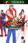 Real Bout Fatal Fury Special cover.jpg