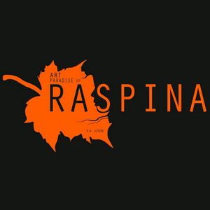 Company - Raspina Studio.jpg