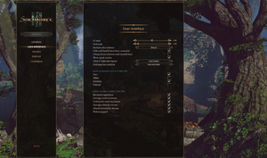 In-game user interface settings.