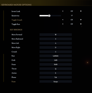 In-game keyboard and mouse settings.