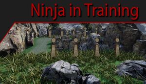 Ninja in Training cover