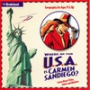 Where in the USA is Carmen Sandiego 1996 cover.jpg