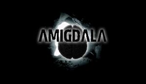 Amigdala cover